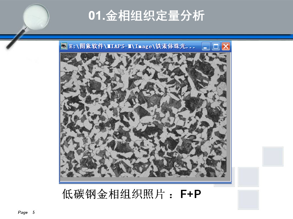 金相组织定量及组织分析(图5)