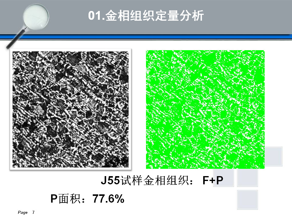 金相组织定量及组织分析(图7)