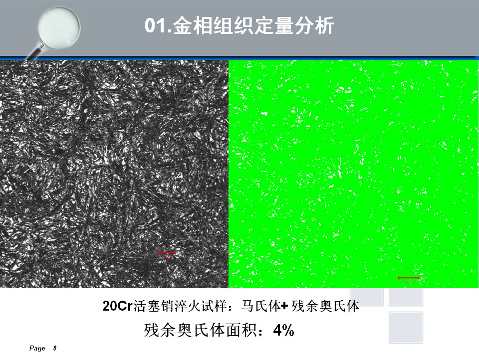 金相组织定量及组织分析(图8)