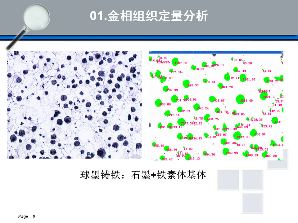 金相组织定量及组织分析(图9)