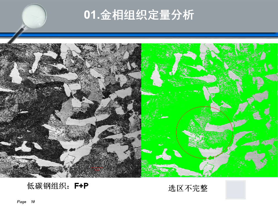 金相组织定量及组织分析(图10)