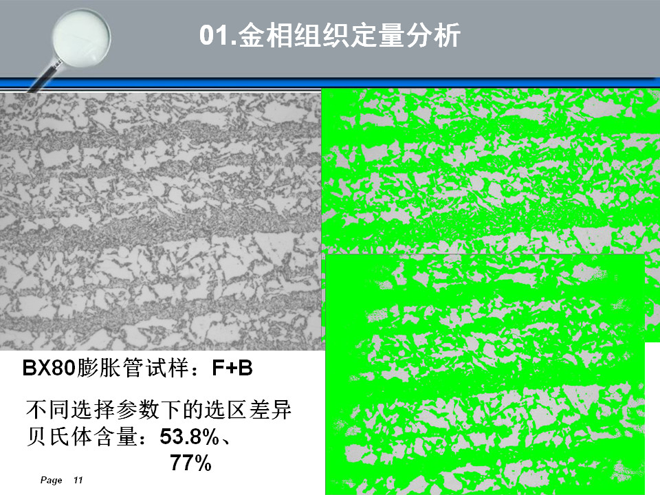 金相组织定量及组织分析(图11)