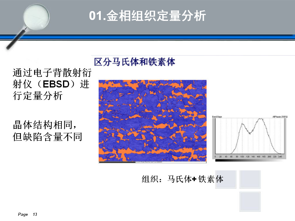 金相组织定量及组织分析(图13)