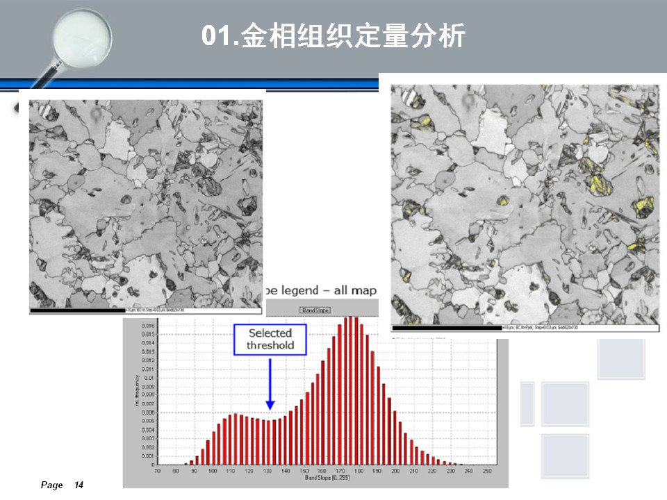 金相组织定量及组织分析(图14)