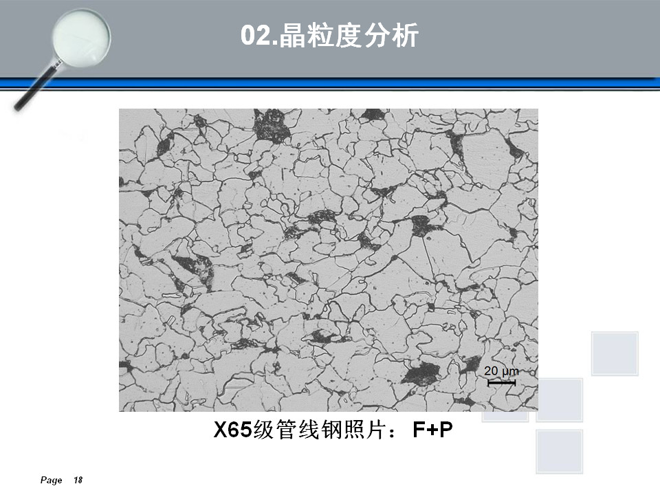 金相组织定量及组织分析(图18)