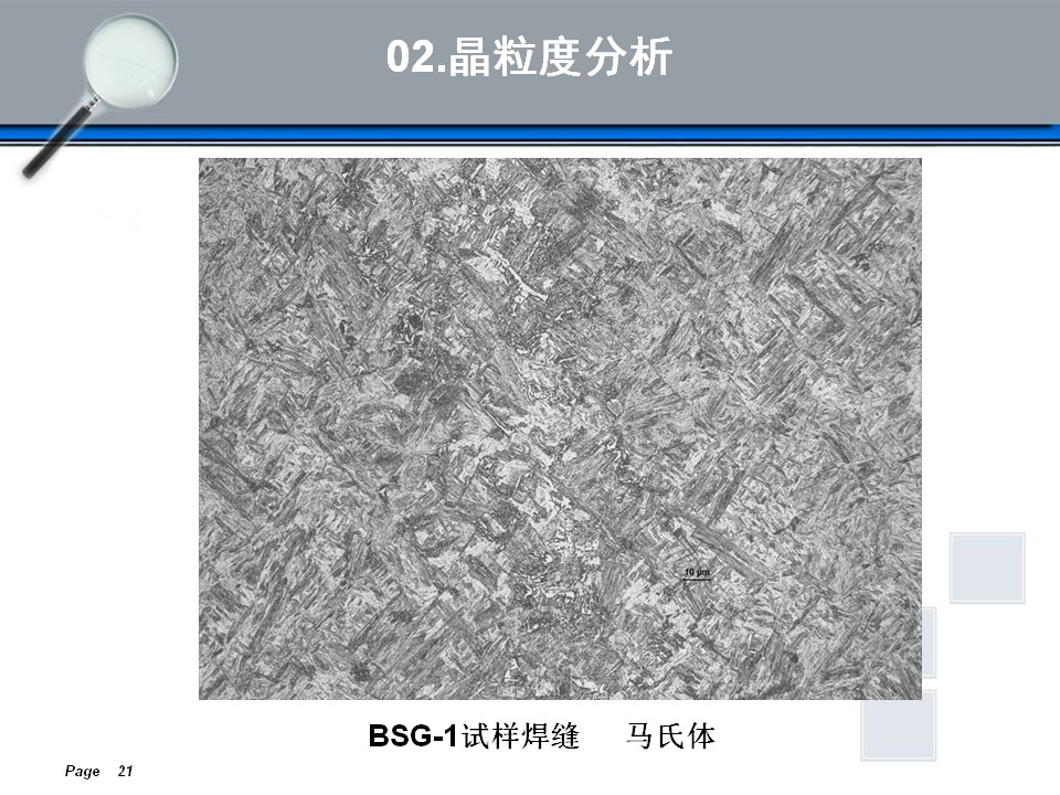 金相组织定量及组织分析(图21)