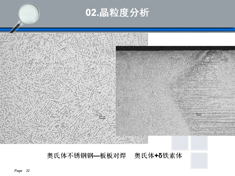 金相组织定量及组织分析(图22)