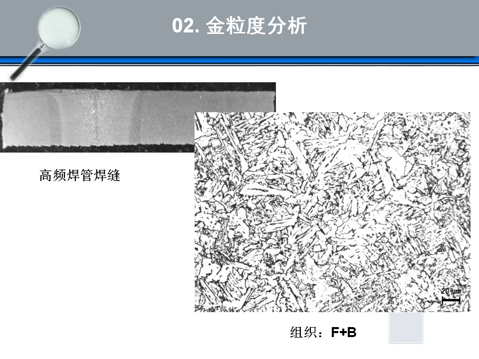 金相组织定量及组织分析(图23)