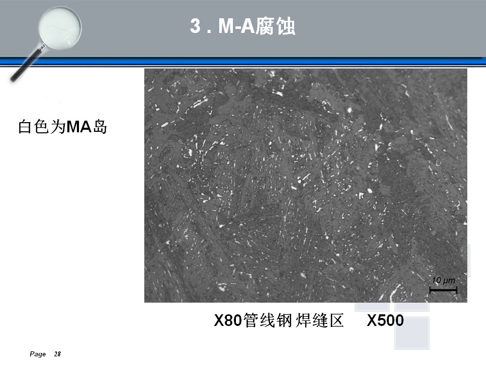 金相组织定量及组织分析(图28)