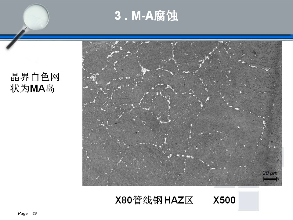 金相组织定量及组织分析(图29)