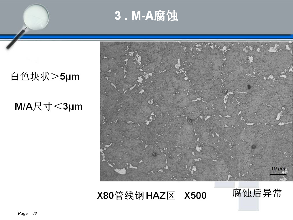 金相组织定量及组织分析(图30)