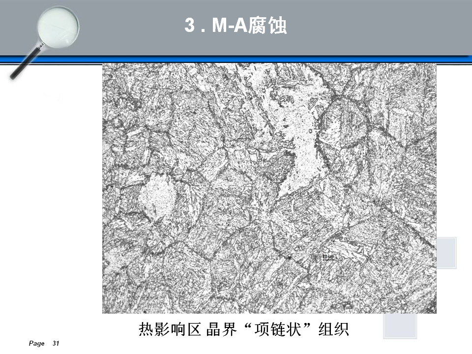 金相组织定量及组织分析(图31)